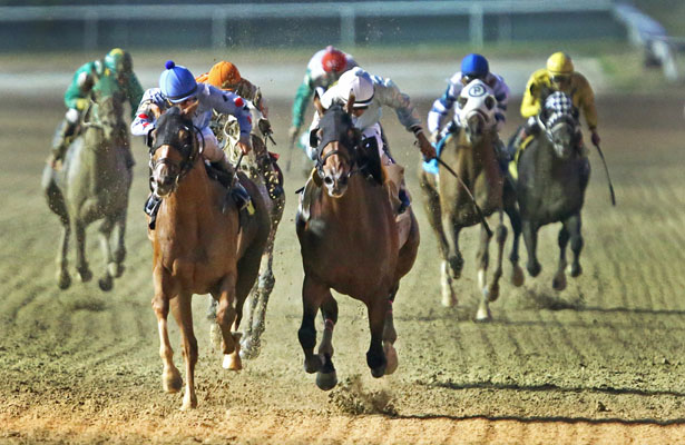 Lone Star Park is gearing up for it 20th Anniversary in spectacular fashion! Photo Courtesy: Dustin Orona Photography